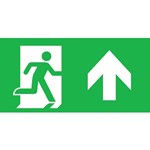 Pictogram noodverlichting Normalux Ecolight PSNEXCEBE Pictogram noodverlichting Normalux Ecolight PSNEXCEBE